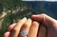 engagement_ring_trends