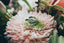 Two rings laying on top of a flower
