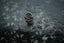 Two rings laying on a surface in the rain