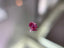 0.15ct 1P PEAR