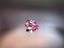 0.16ct 6PP Pear