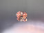 0.19ct 2PR Oval
