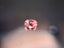 0.29ct 5P Oval