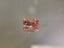 0.43ct 6P Emerald