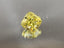 0.51ct Fancy Intense Yellow Cushion SI1