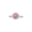 Pink Diamond Double Halo