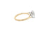 Oval Trilogy two Tone