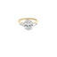 Oval Trilogy two Tone