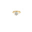 Classic 6 Claw Engagement Ring