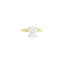 Oval Classic Solitaire