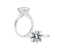 Annalise - 4 Claw