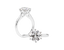 Annalise - 6 Claw