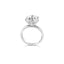 6 claw Tapered Solitaire