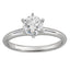 6 claw Tapered Solitaire
