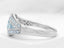 RT10081AQSM Ring