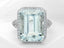 RT10247AQ Ring