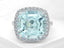 RT10616AQ Ring