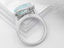 RT10616AQ Ring