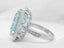 RT12399AQ Ring