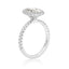 Oval Double Halo