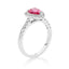 Pink Sapphire Halo
