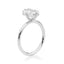 Compass - North South East West (NSEW) Solitaire