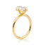 Compass - North South East West (NSEW) Solitaire