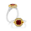 Del Toro Spinel